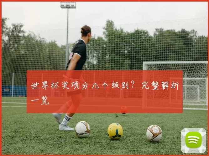 世界杯奖项分几个级别?完整解析一览