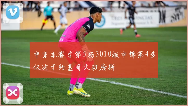 申京本赛季第5场3010板中锋第4多仅次于约基奇文班唐斯