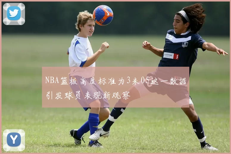 NBA篮板高度标准为3米05这一数据引发球员表现新观察