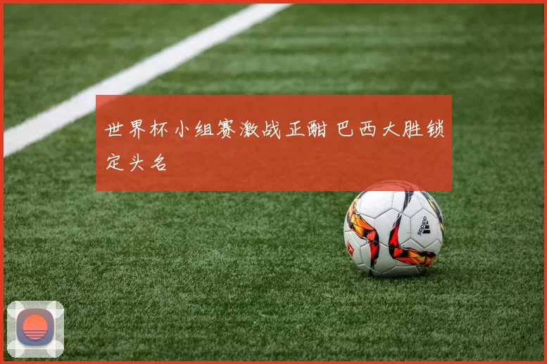 世界杯小组赛激战正酣 巴西大胜锁定头名