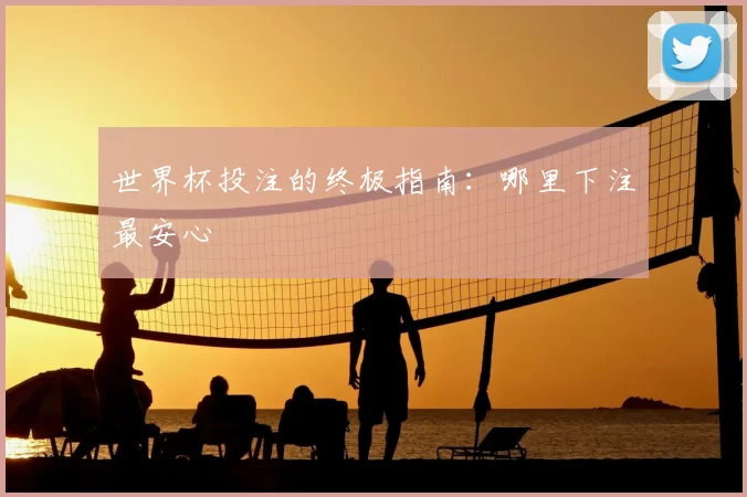 世界杯投注的终极指南：哪里下注最安心