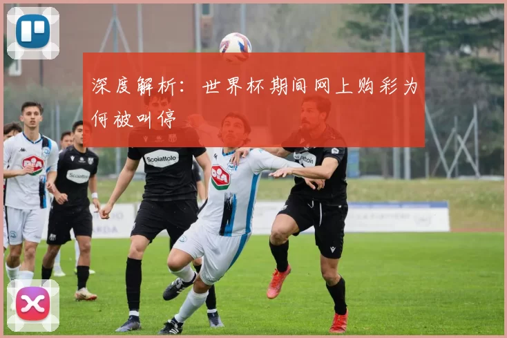 深度解析:世界杯期间网上购彩为何被叫停