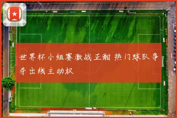 世界杯小组赛激战正酣 热门球队争夺出线主动权