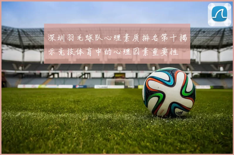 深圳羽毛球队心理素质排名第十揭示竞技体育中的心理因素重要性