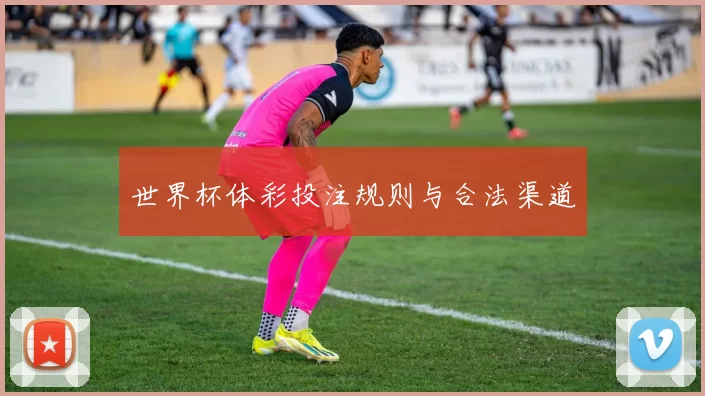世界杯体彩投注规则与合法渠道