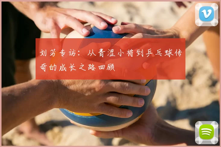 刘芳专访:从青涩小将到乒乓球传奇的成长之路回顾