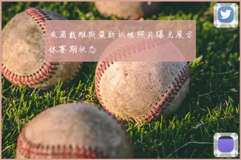 浓眉戴维斯最新训练照片曝光展示休赛期状态