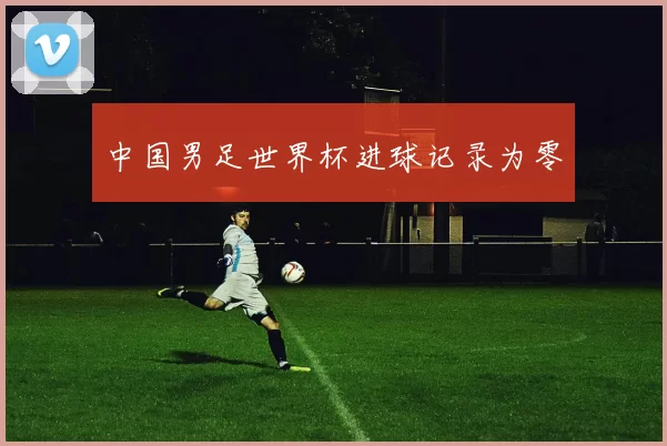 中国男足世界杯进球记录为零