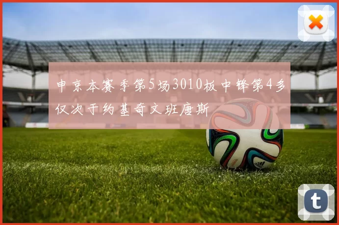 申京本赛季第5场3010板中锋第4多仅次于约基奇文班唐斯